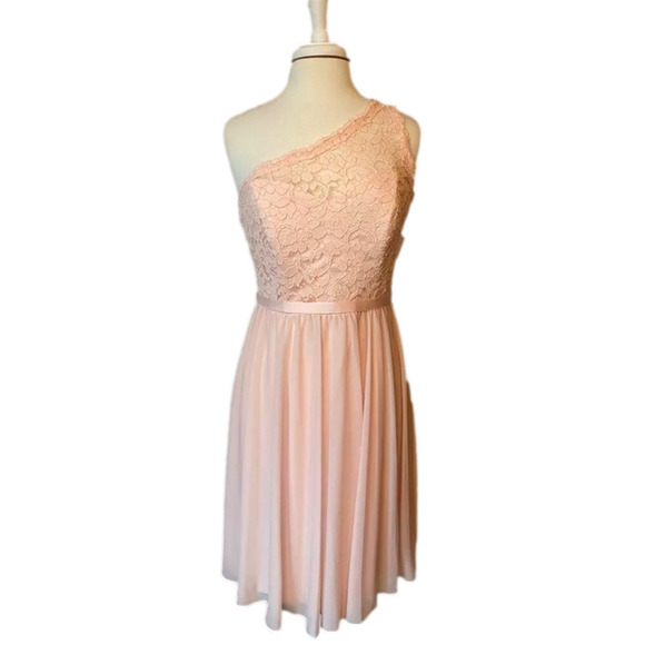 David’s Bridal NWT Women's 10 Pastel Pink Lace One Shoulder Formal Party Dress - Picture 1 of 10